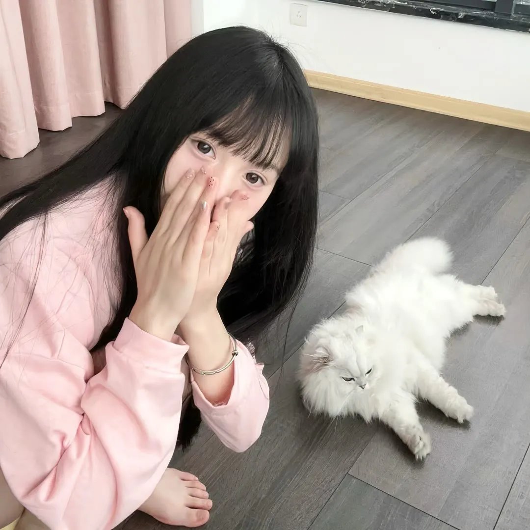 曹雪芹