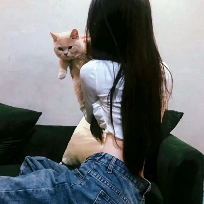 荡女狂夫
